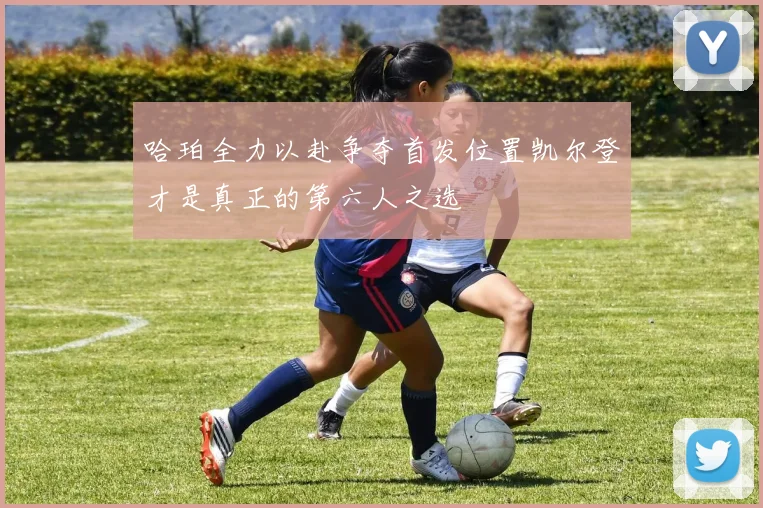 哈珀全力以赴争夺首发位置凯尔登才是真正的第六人之选