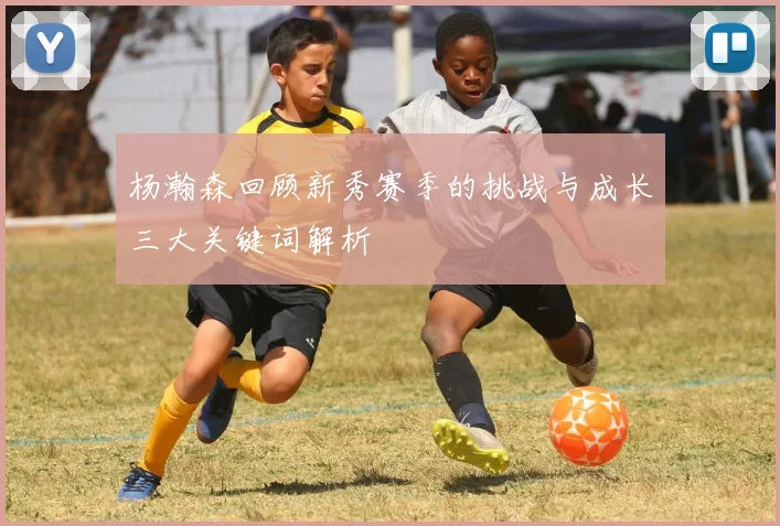 杨瀚森回顾新秀赛季的挑战与成长三大关键词解析